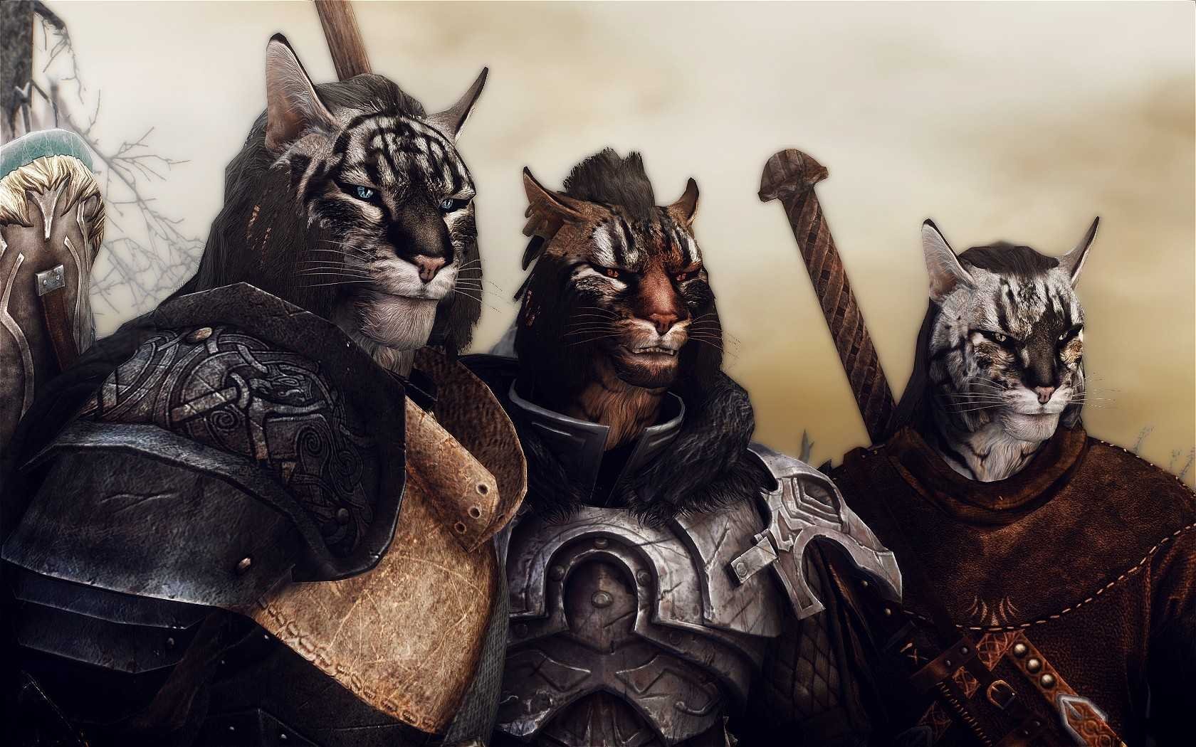 Khajiit textures. The Elder Scrolls каджит. Каджит скайрим. Каджит тигр. Каджиты Эльсвейра.