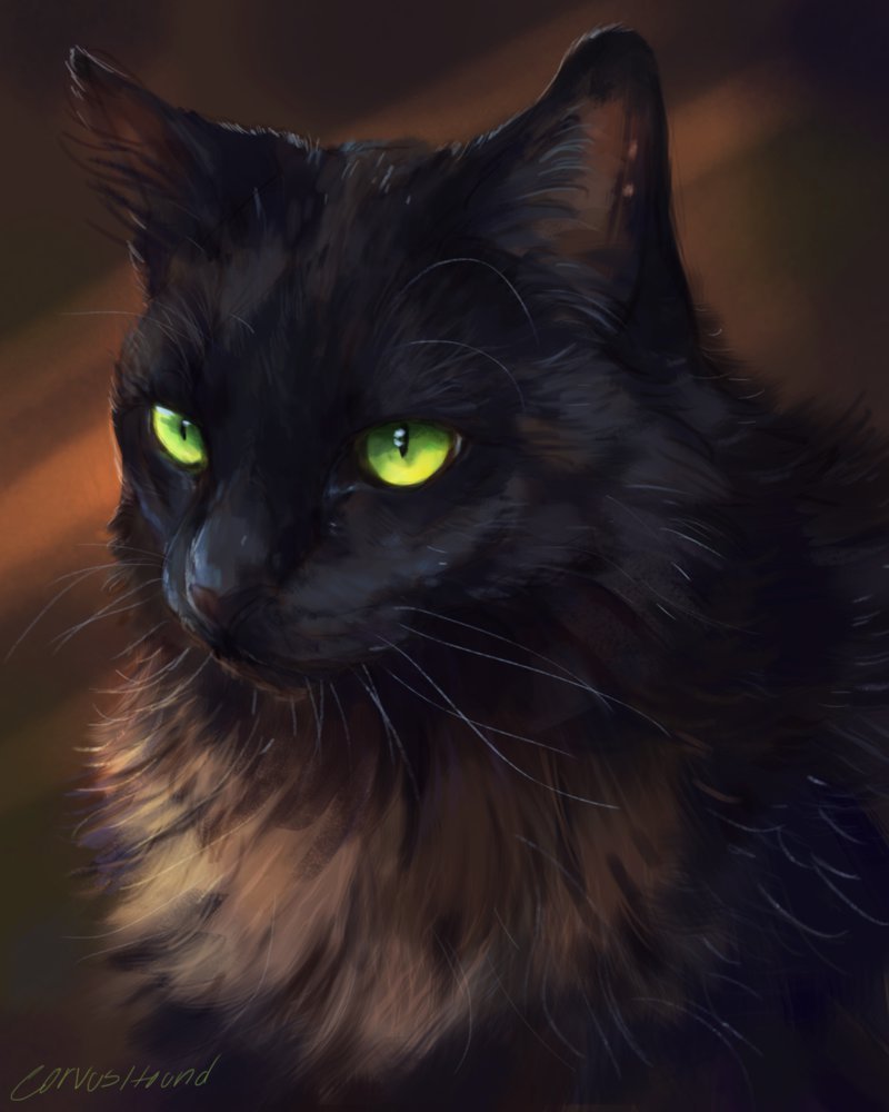Черная кошка с голубыми глазами арт