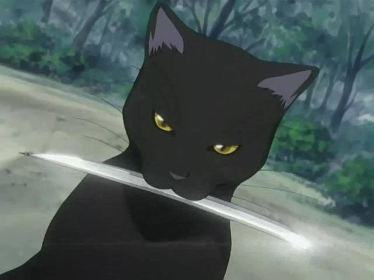 Yoruichi bleach cat form