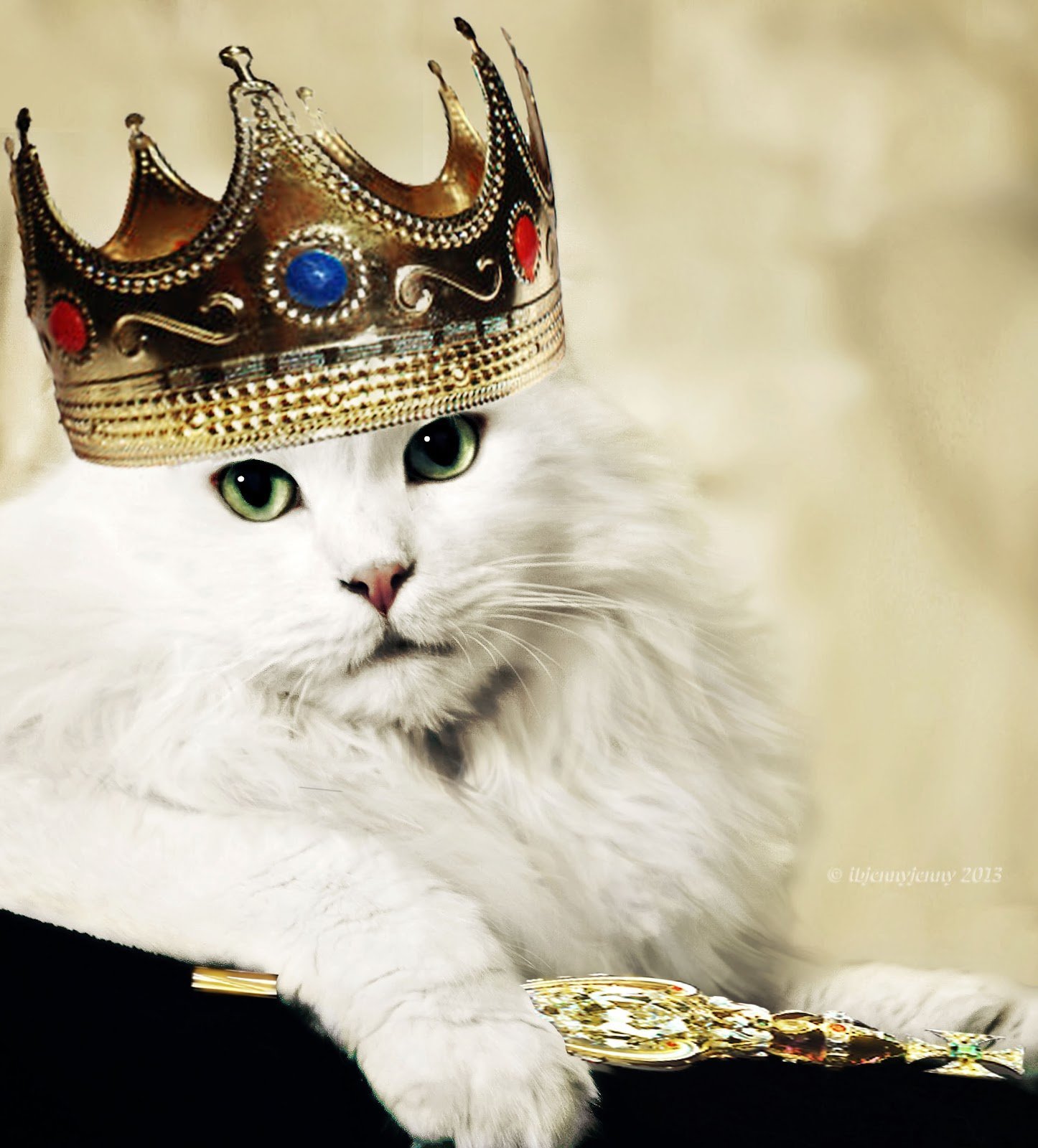Кошка царская - 68 фото
