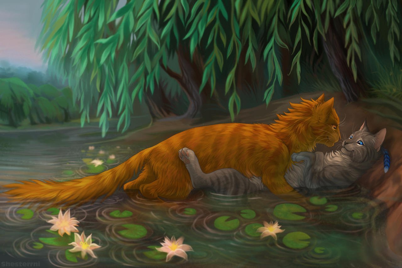 Warrior cats art. Коты Воители Огнезвёзд. Коты Воители Огнезвёзд и Крутобок. Коты Воители огни звезд. Кот Огнезвезд коты Воители.