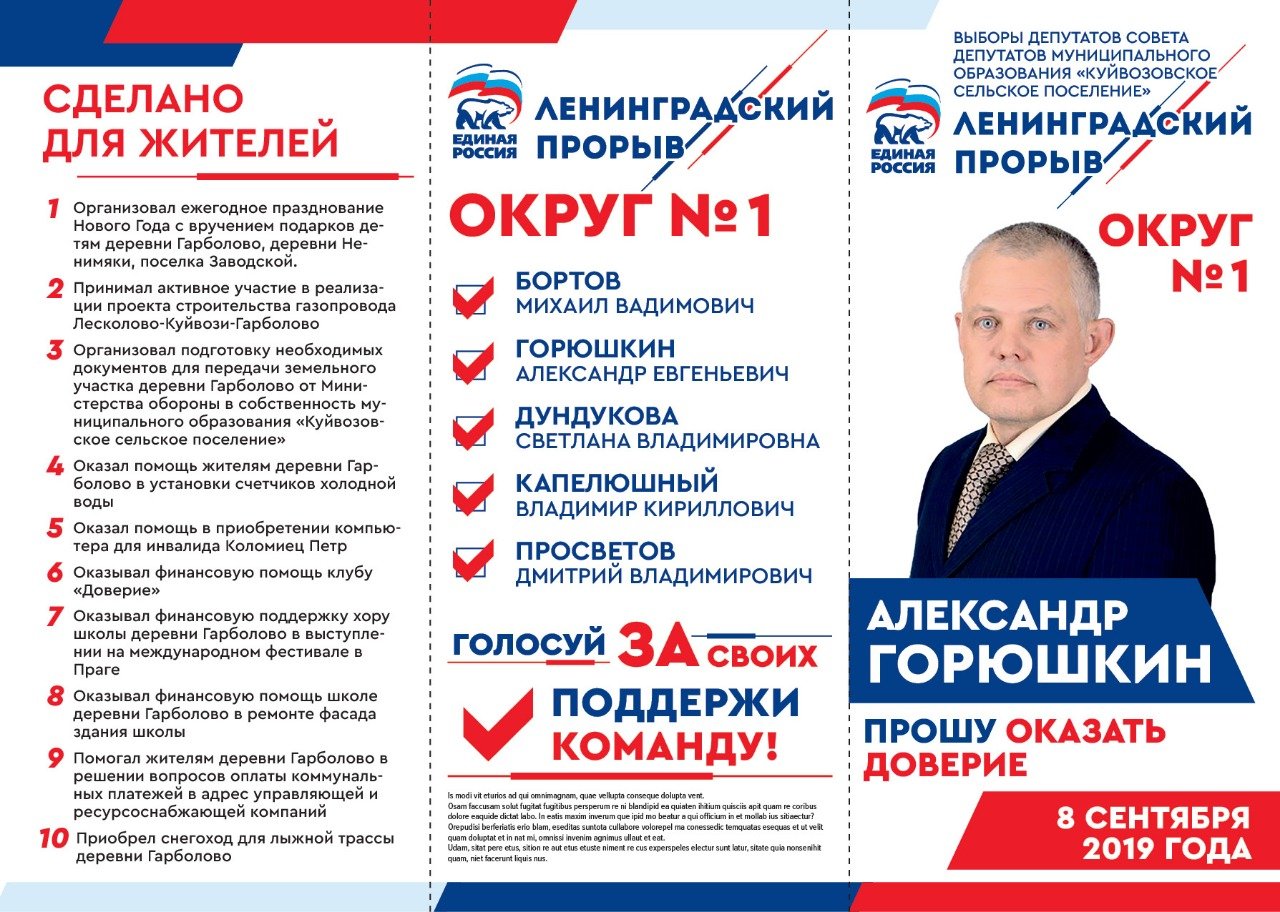 Совет муниципальных депутатов выборы