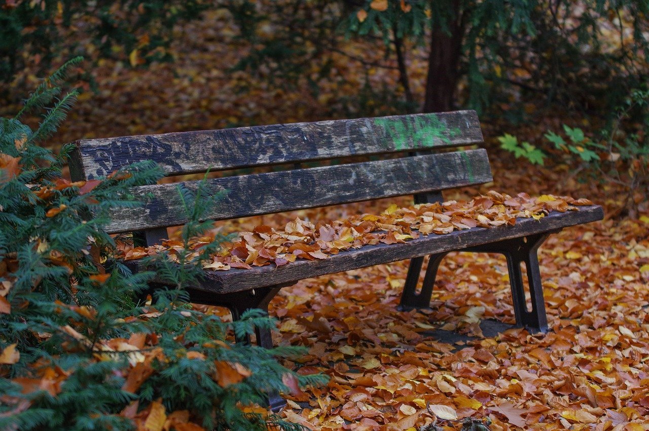 Есть слово скамья. Шишкин скамейка в аллее. Осенняя скамейка. Скамья в парке. Скамейка в парке.