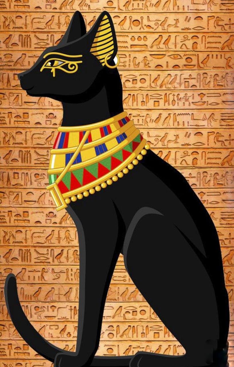 Желтая египетская кошка - 66 фото