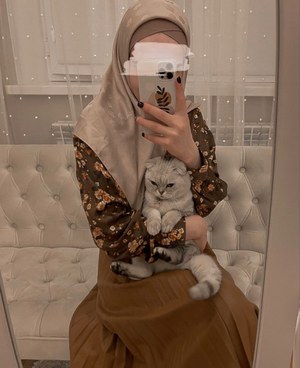 Кошка в хиджабе