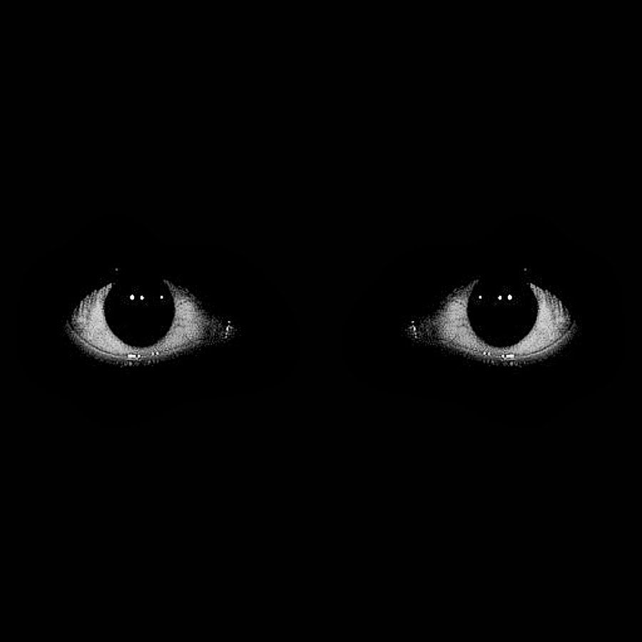 глаза в темноте картинки