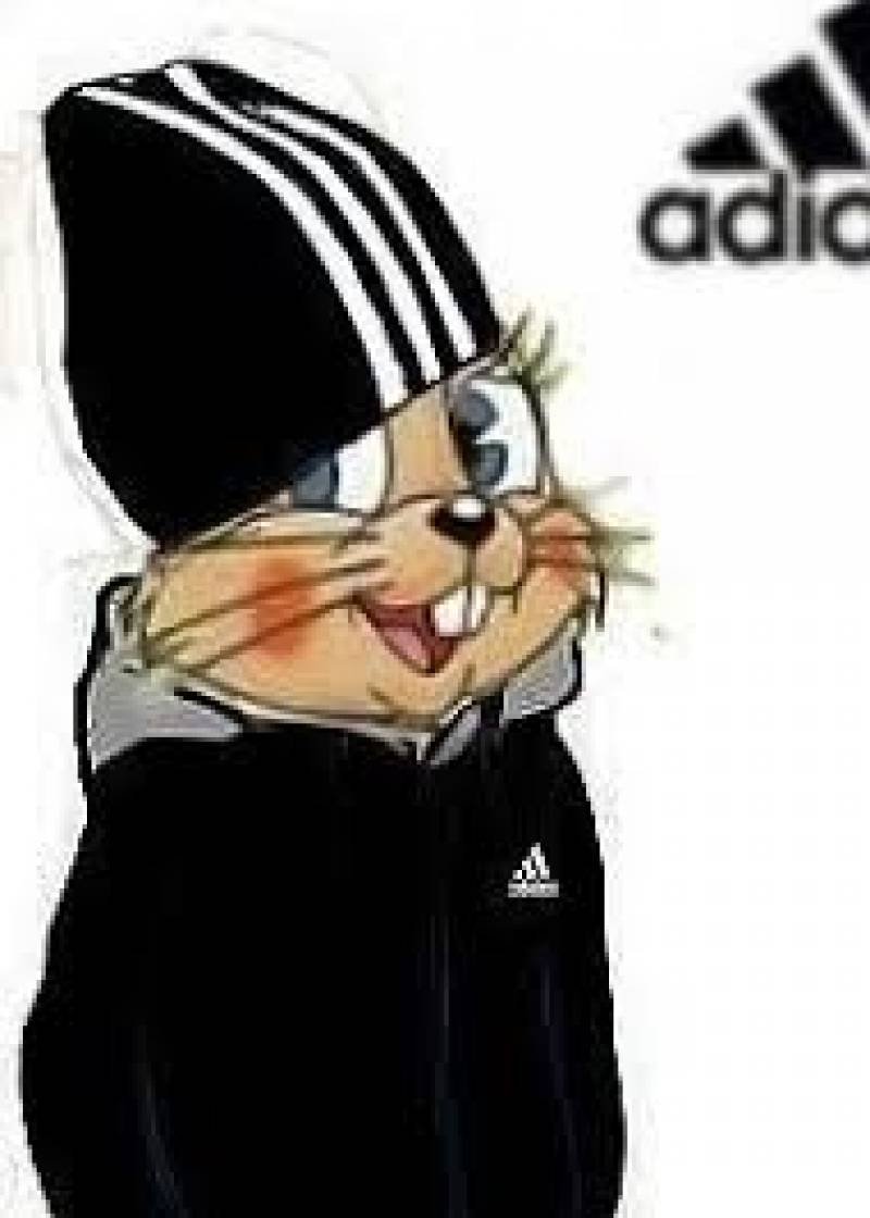 Две девушки в спортивках Adidas