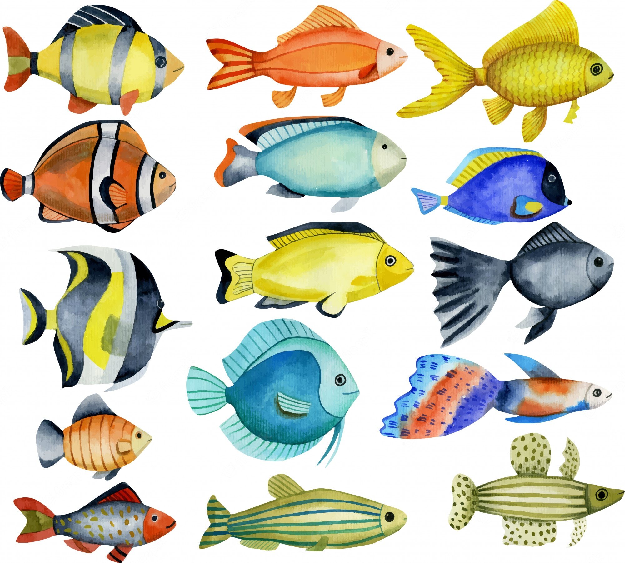 Аквариумные рыбы для детей. Рыбки. Рыба для детей. Морские рыбки. Разноцветные морские рыбки.