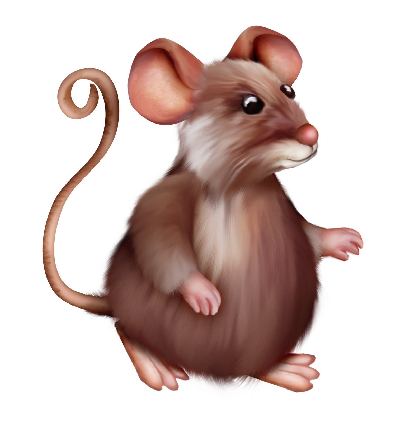 Картинка мышонка на прозрачном фоне. Крыса. Мышка на прозрачном фоне. Мышка без фона для детей. Мышонок без фона.