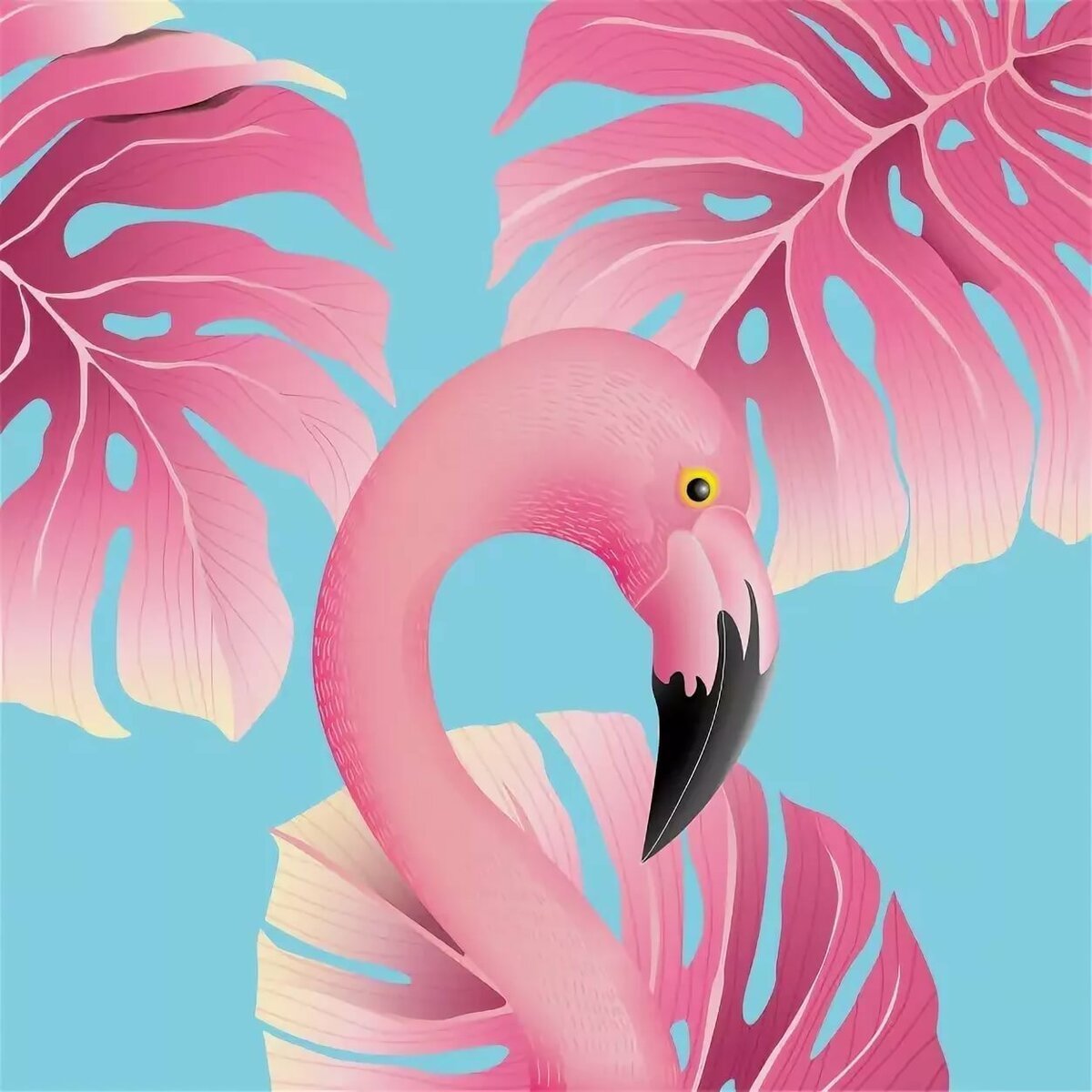 Фото по запросу Pink Flamingo