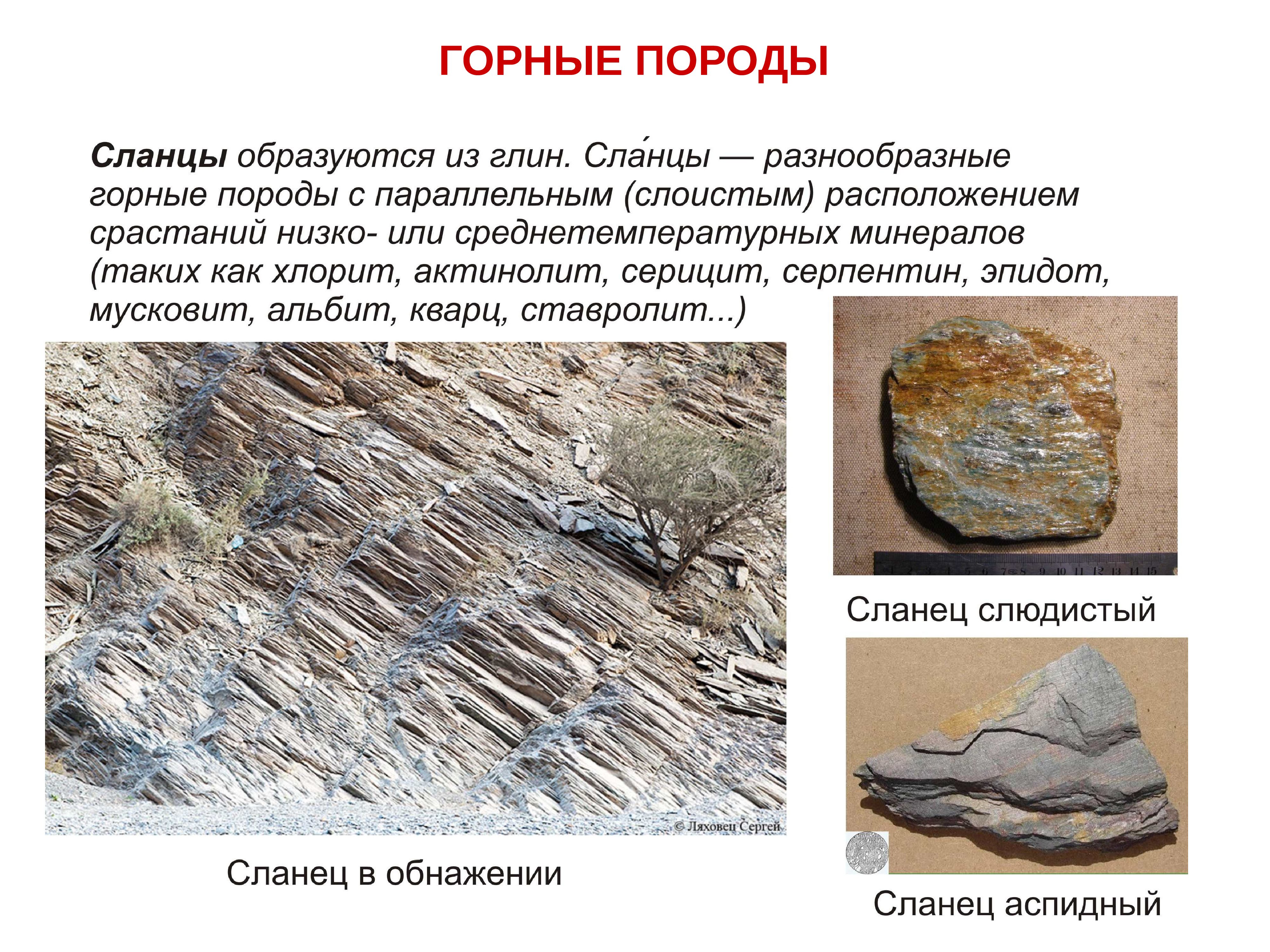 Горные породы московской области. Гнейс амфиболит-биотитовый. Осадочные горные породы образуются. Горные породы и минералы. Горные породы Крыма.