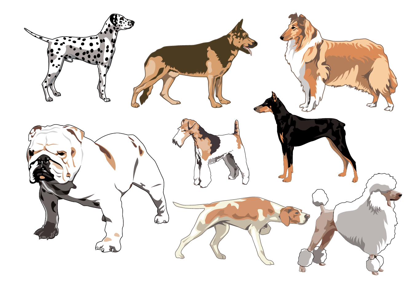 Мультяшные собаки разных пород. Собака рисунок. Иллюстрации собак разных пород. Породы собак нарисовать