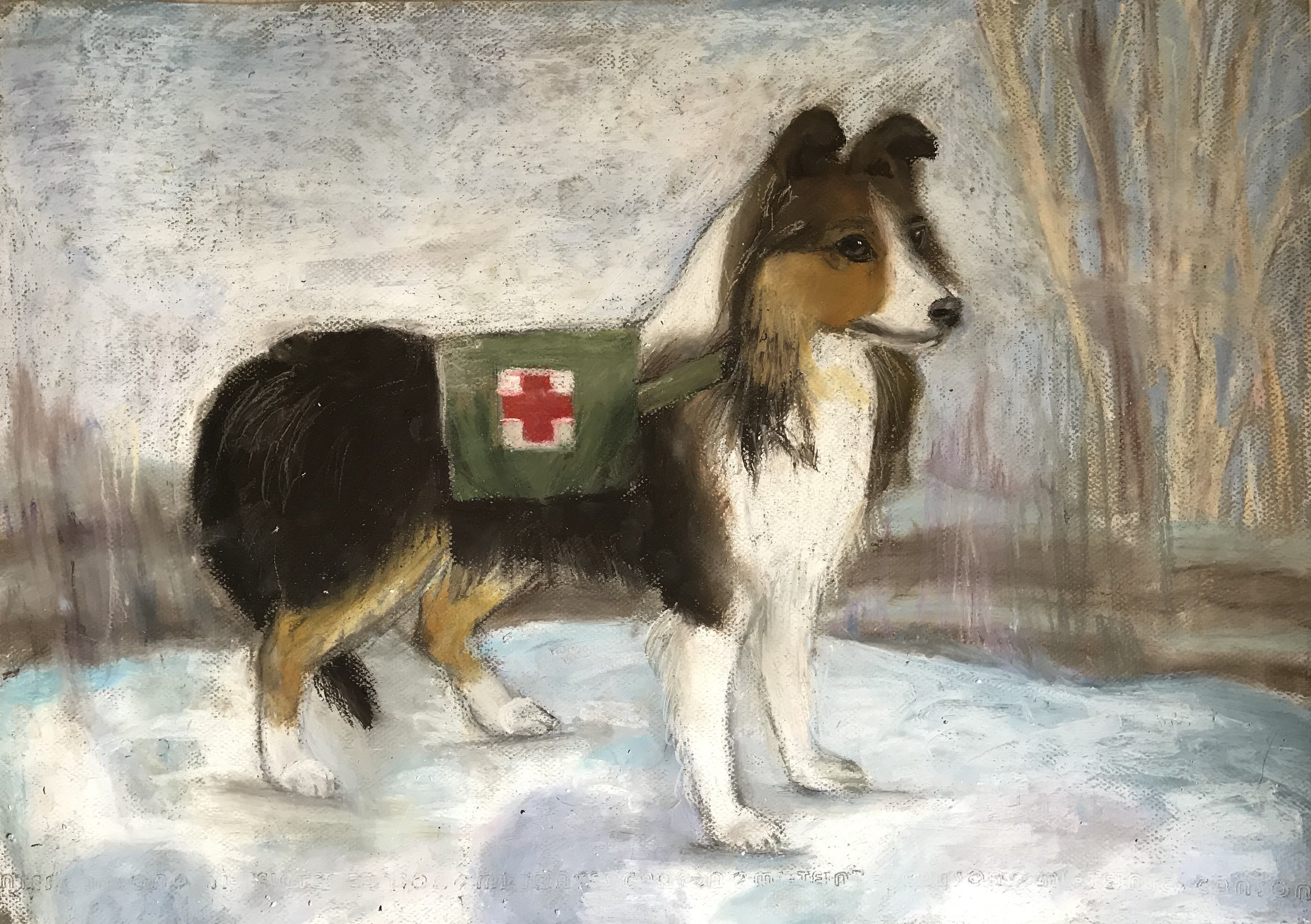 Животные в великой отечественной войне рисунок. Собака санитар. Собаки санитары на войне 1941-1945. Собаки на войне.