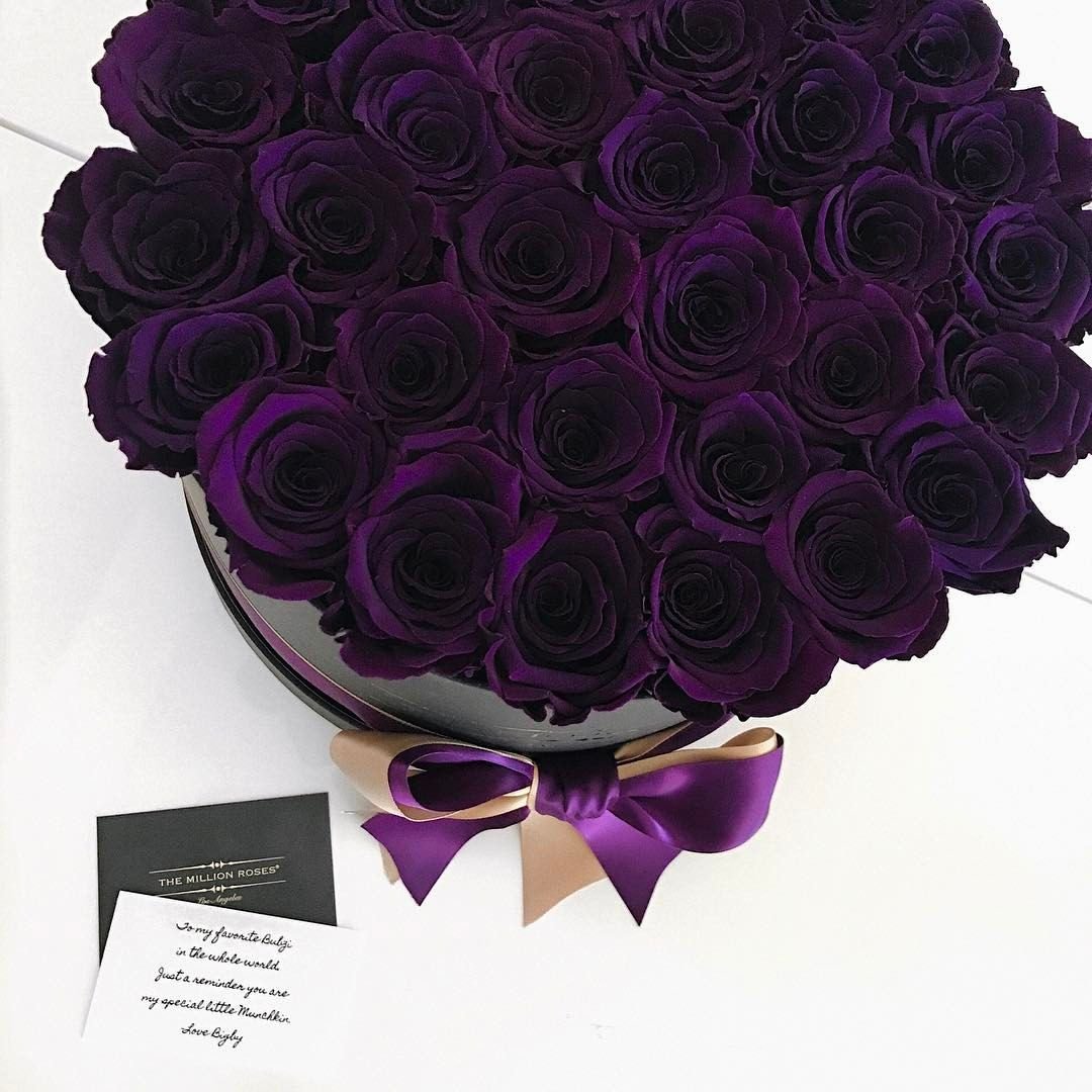 Фиолетовые розы картинки - 61 фото