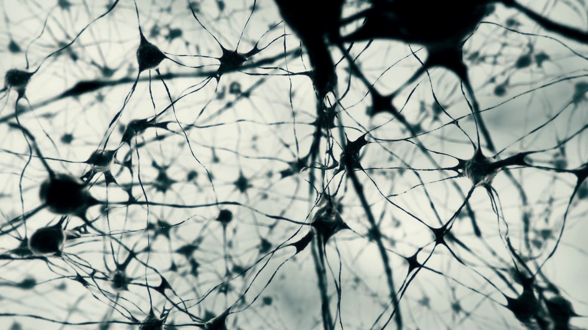 Серые клетки мозга. Нейроны и нейронные связи. Черная клетка. Паутина нейронов. Разрушение нейронов.