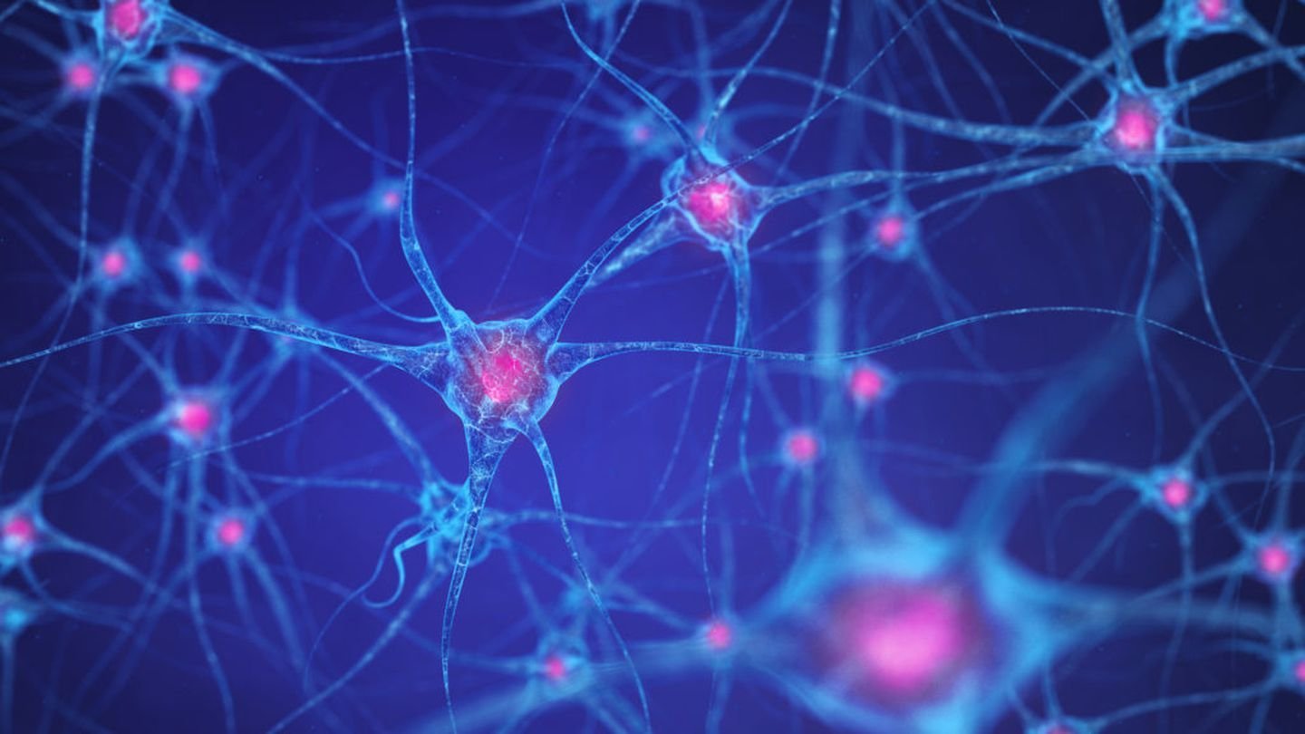 Новые клетки мозга. Нейроны. Нейронные связи. Сеть нейронов. Клетки мозга.