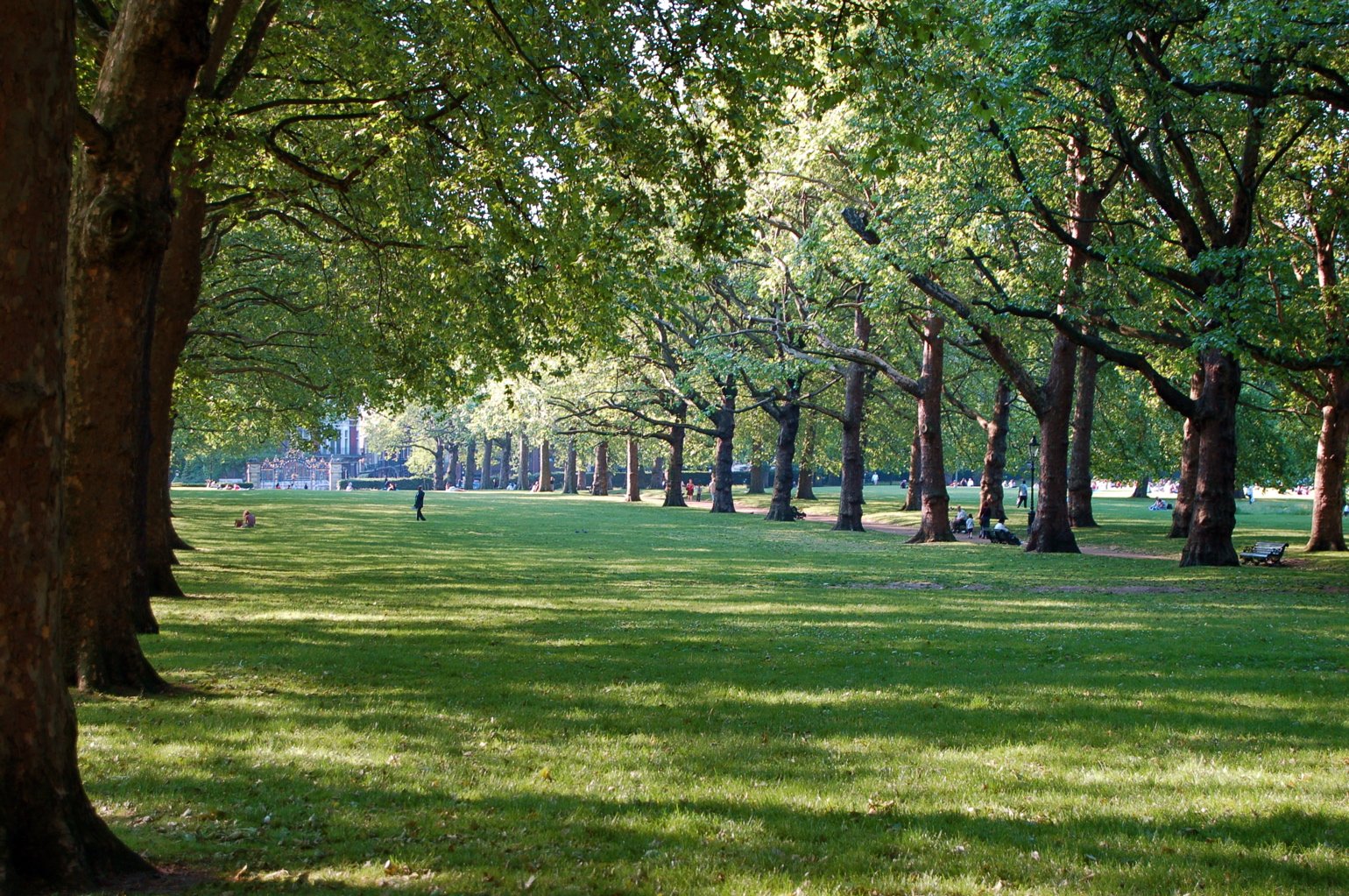 Park. Грин парк Англия. Green Park Лондон парк. Грин парк Лондон фото. Зеленый парк в Англии.