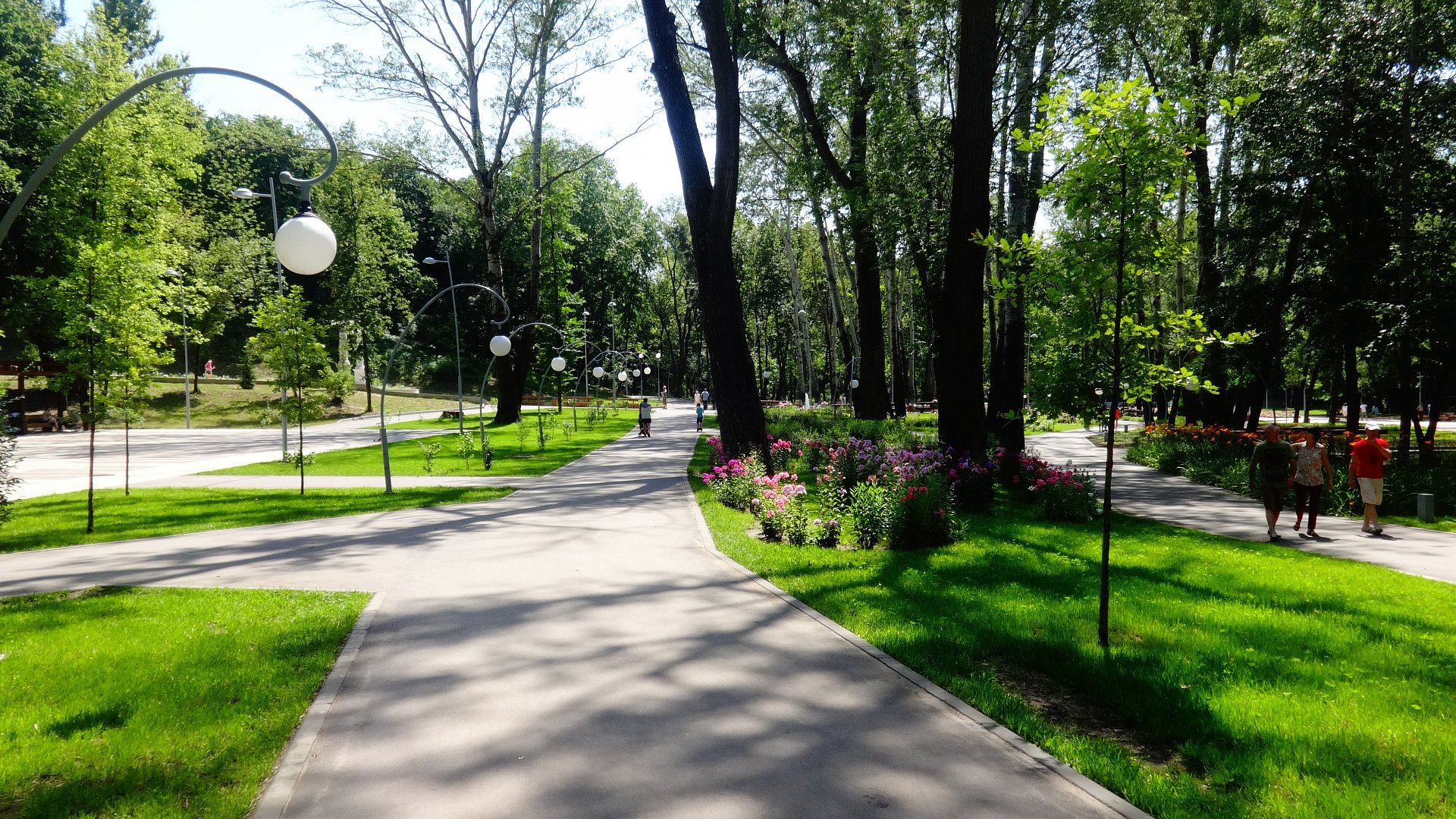 Несколько парков. Город Воронеж парк. Парки Динамо города Воронежа. Центральный парк города Воронежа. Скверы Воронежа.