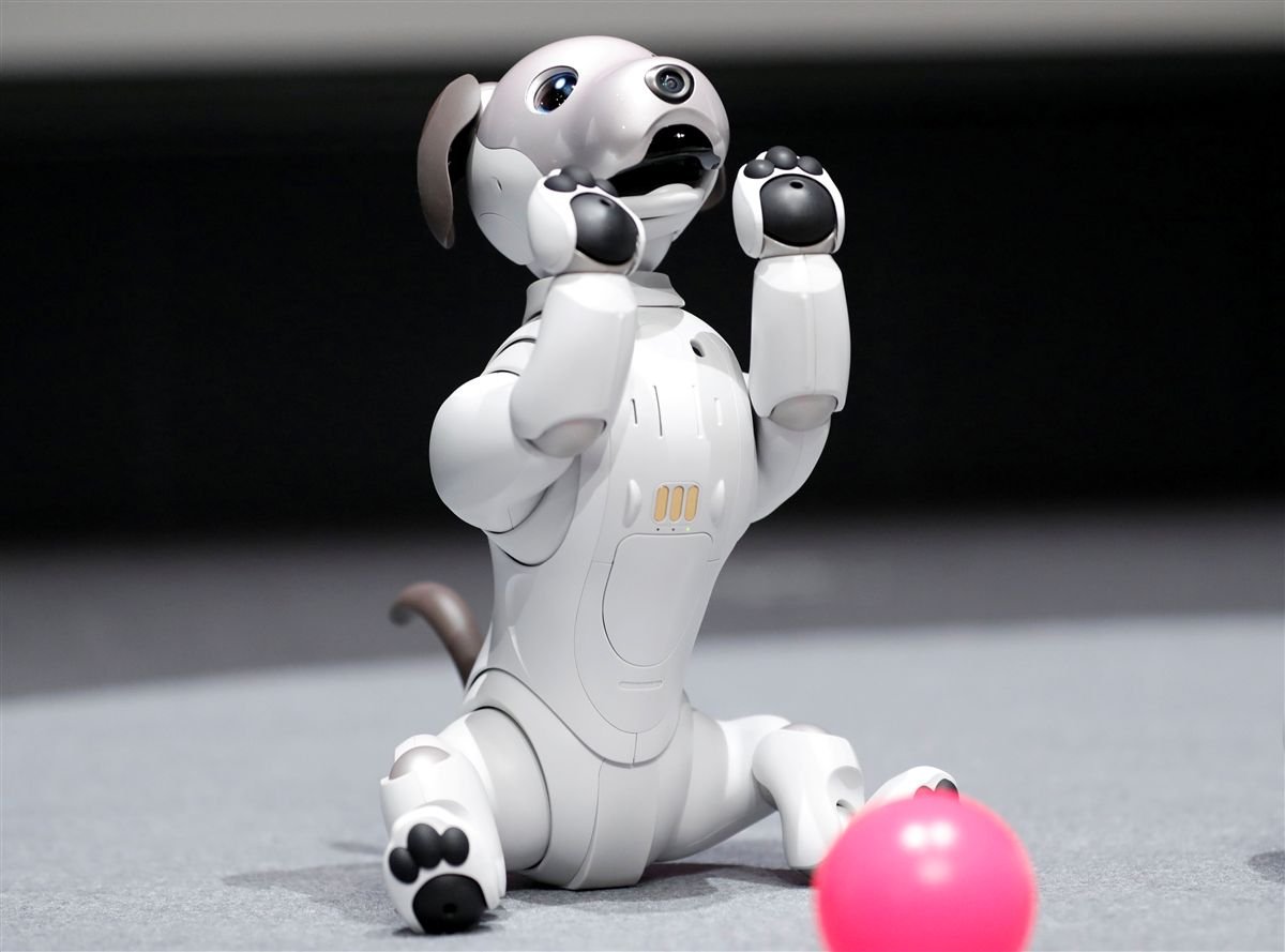 Ai pet. Робот Sony Aibo. Aibo робот-собака от Sony. Собака робот Япония Aibo. Aibo 1999.