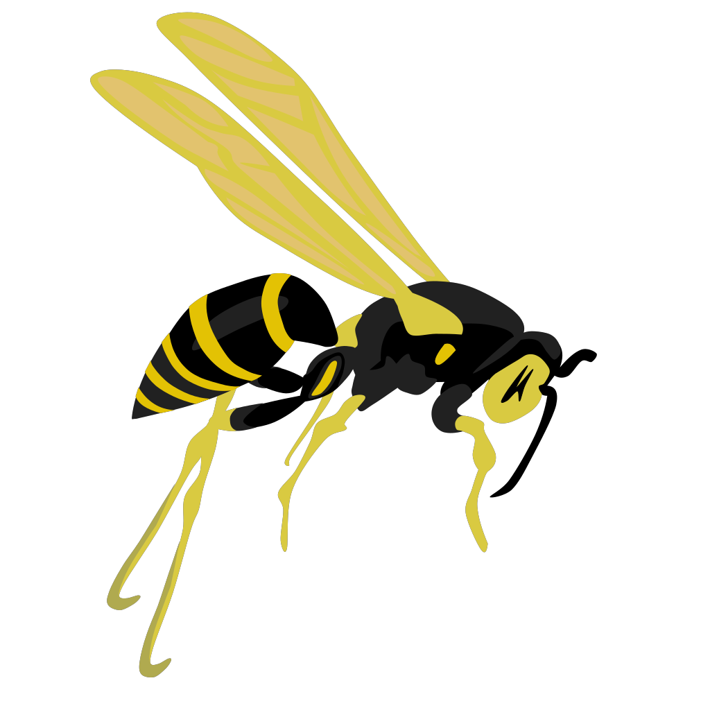 Картинки осы на прозрачном фоне. Bee Wasp Hornet. Оса на белом фоне. Пчела на белом фоне.