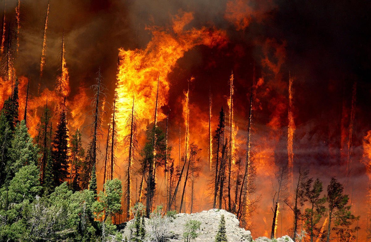Лесной пожар 3 класс. Пожар в лесу. Верховой пожар. Верховой Лесной пожар. Верховой ураганный пожар.