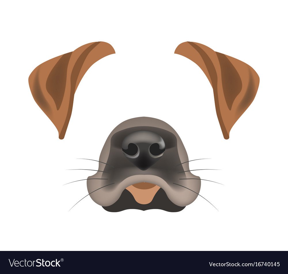 Рисунок уши собаки
