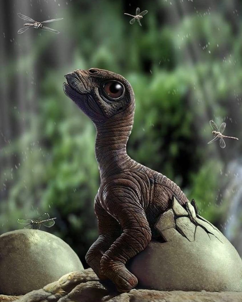 Картинки динозавров настоящих