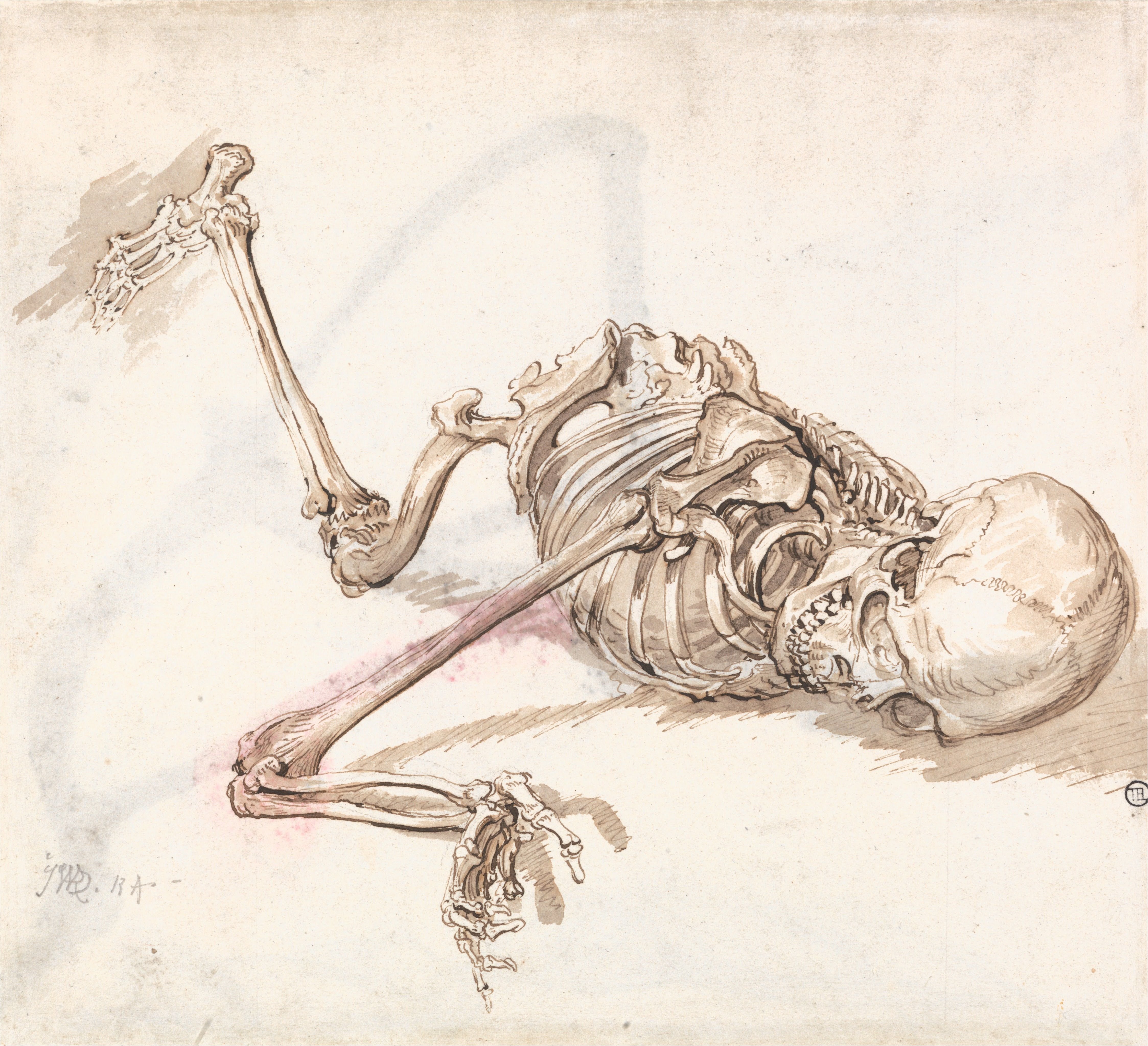 Страдающий скелет. Скелет лежит. Лежачий скелет. Анатомические иллюстрации.