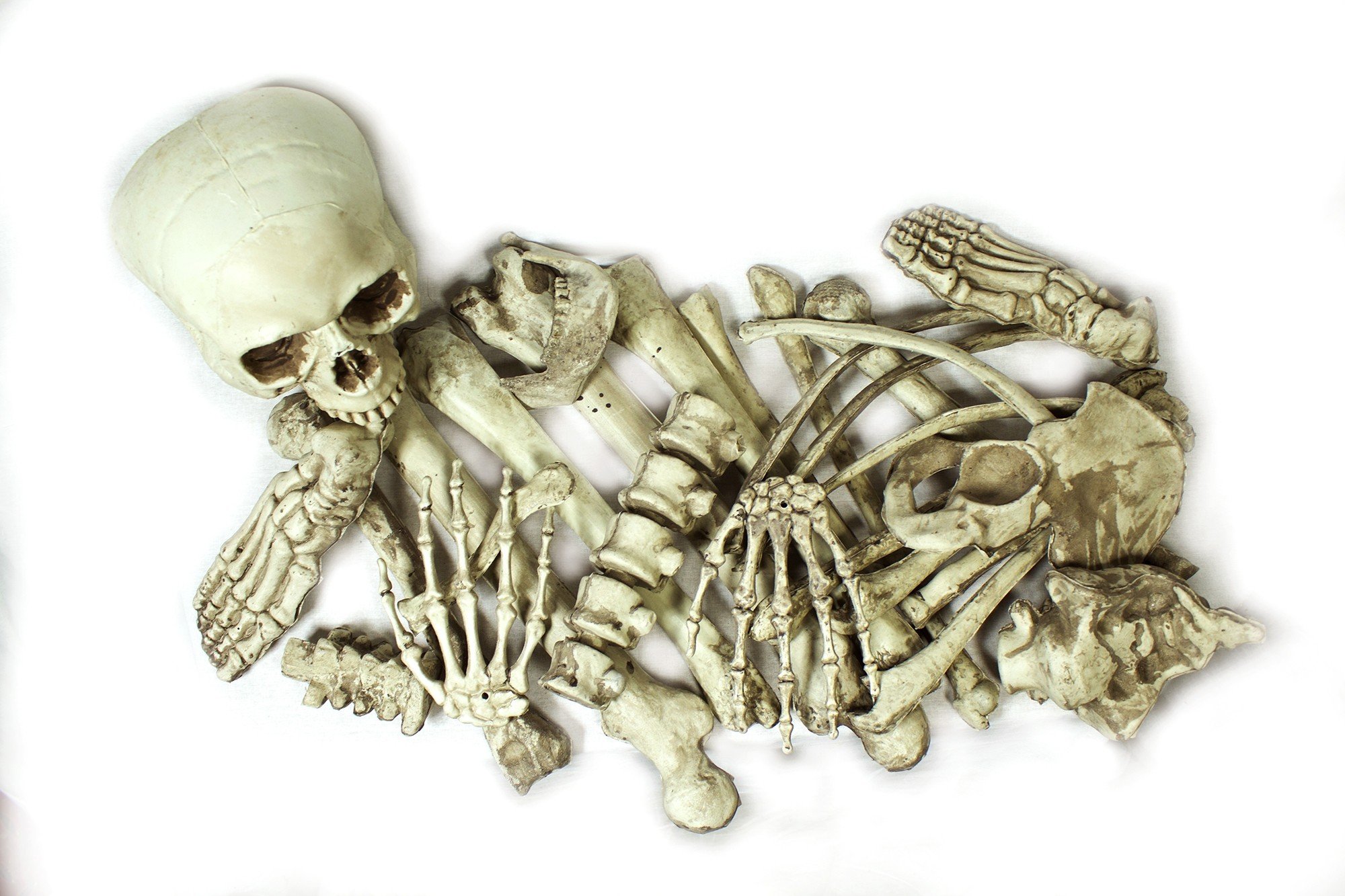Мешок скелета. Кость скелета. Куча человеческих костей.