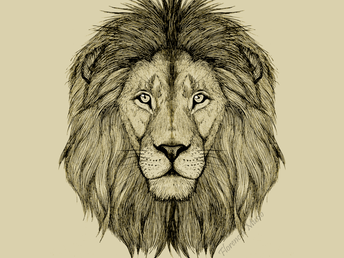 Голова льва картинка