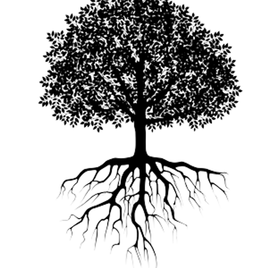 Дерево с корнями картинка
