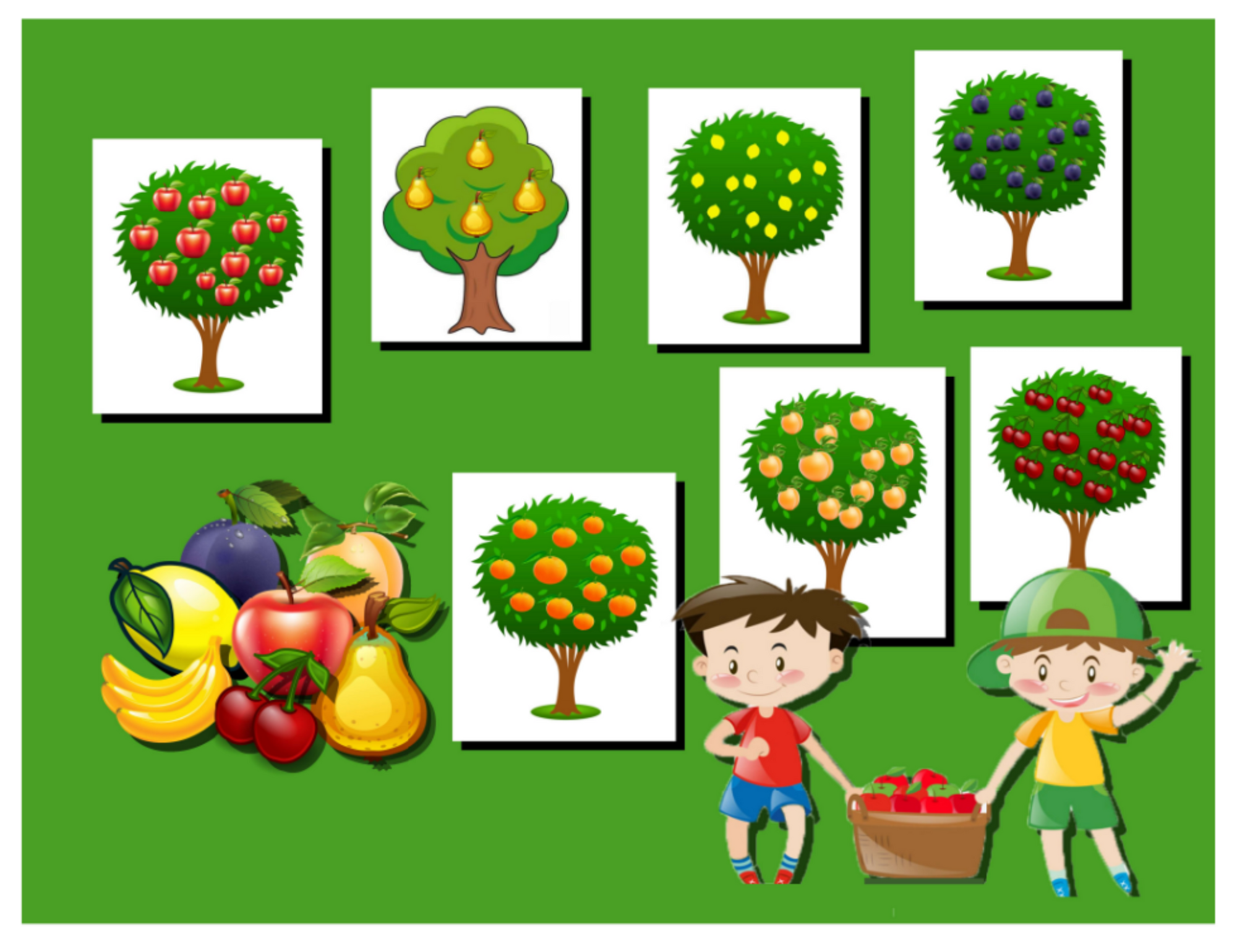 Кроме фруктовых деревьев составить предложение. Плодовые деревья для дошкольников. Садовые деревья для детей. Фруктовые деревья для дошкольников. Садовые деревья и кустарники для детей.
