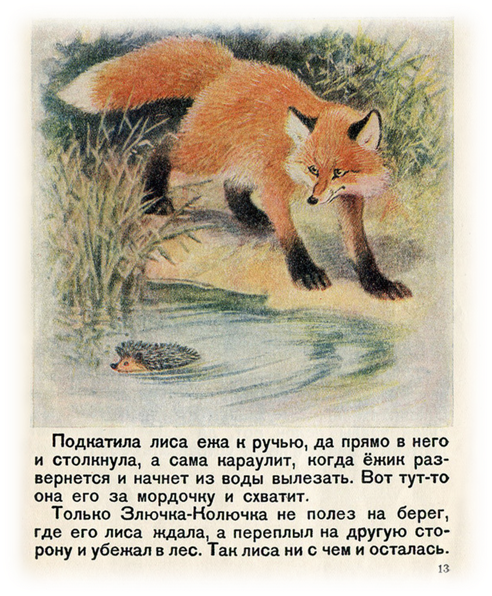 Произведения про лису. Лиса и еж Сладков. Сказки про лису. Произведения с лисой.