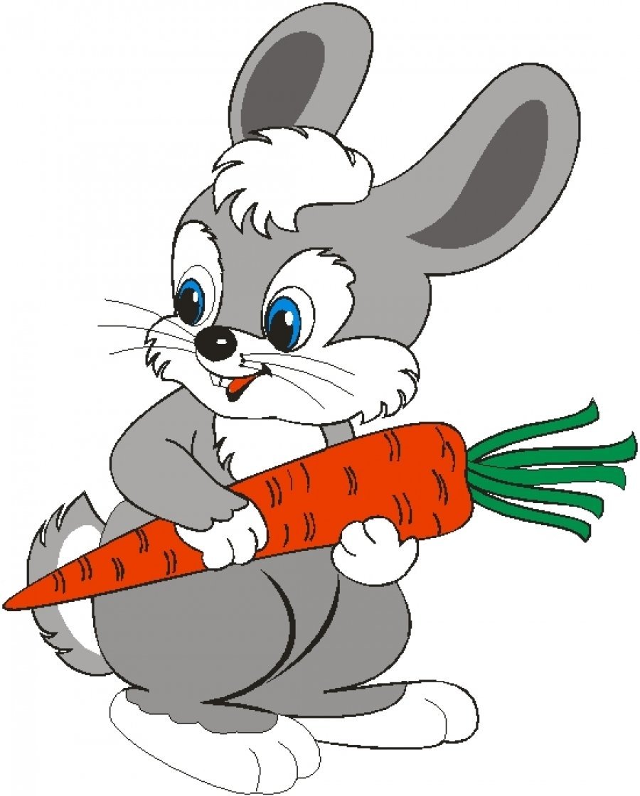Заяц с морковкой картинка