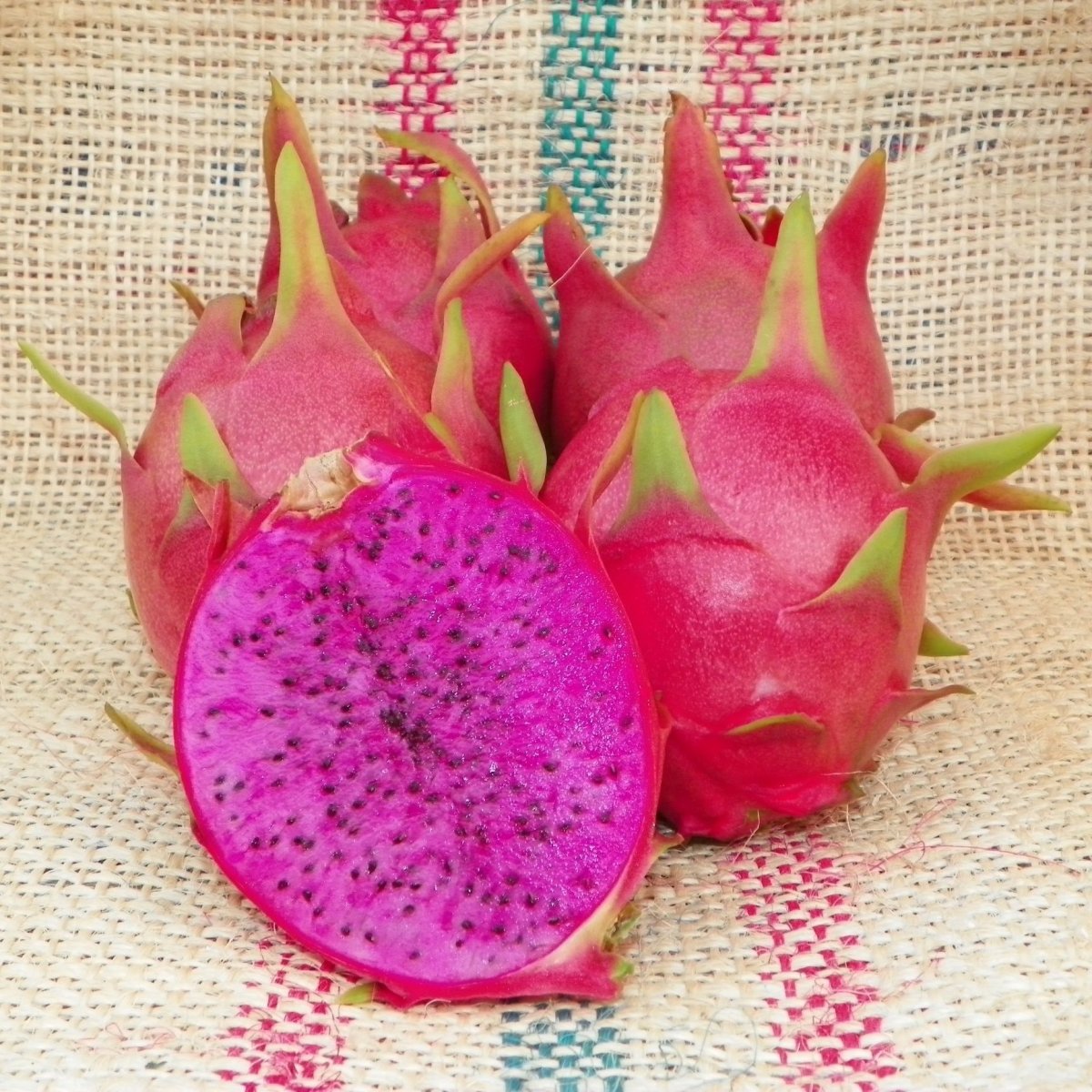 Розовый фрукт с шипами