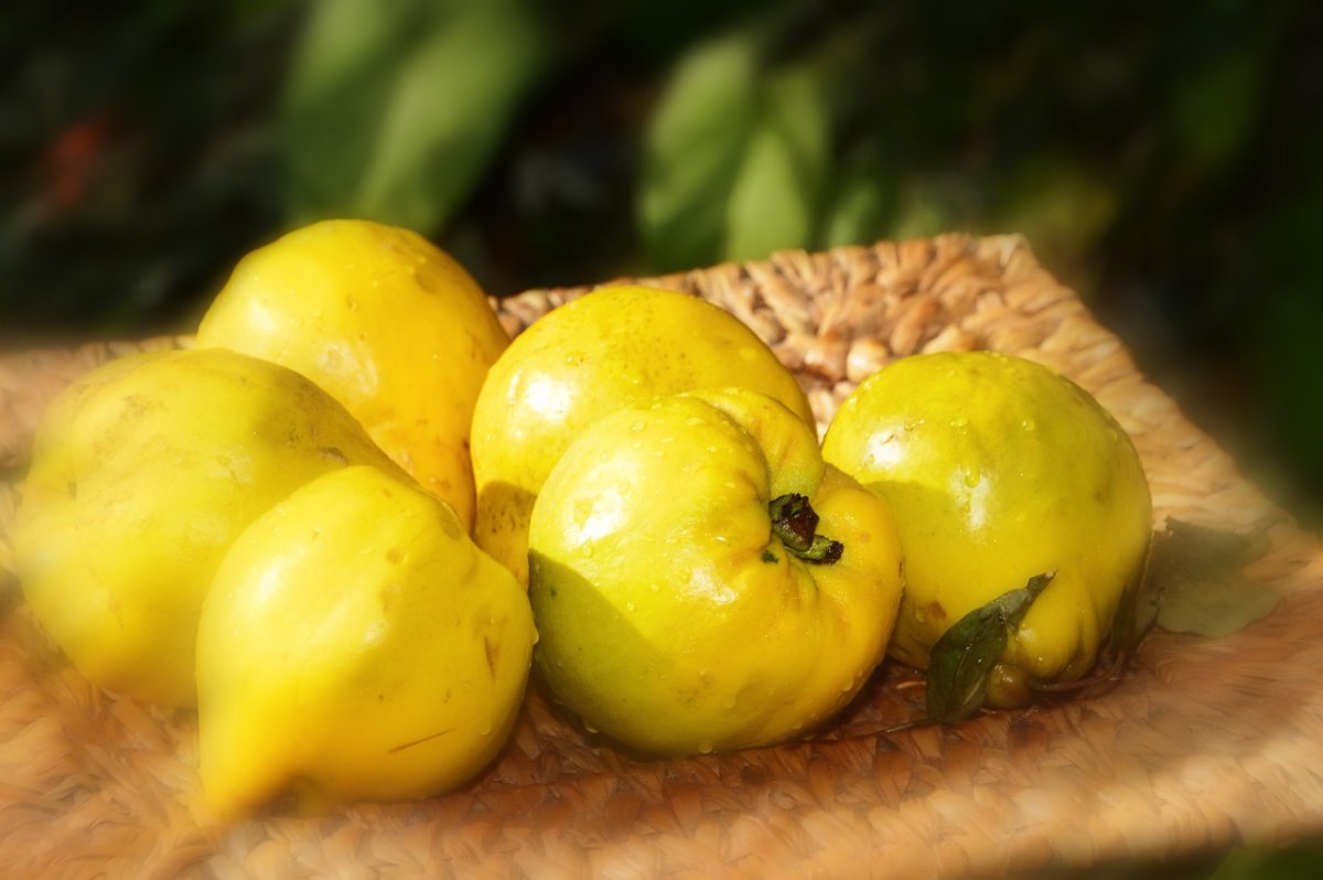 Желтый маленький фрукт