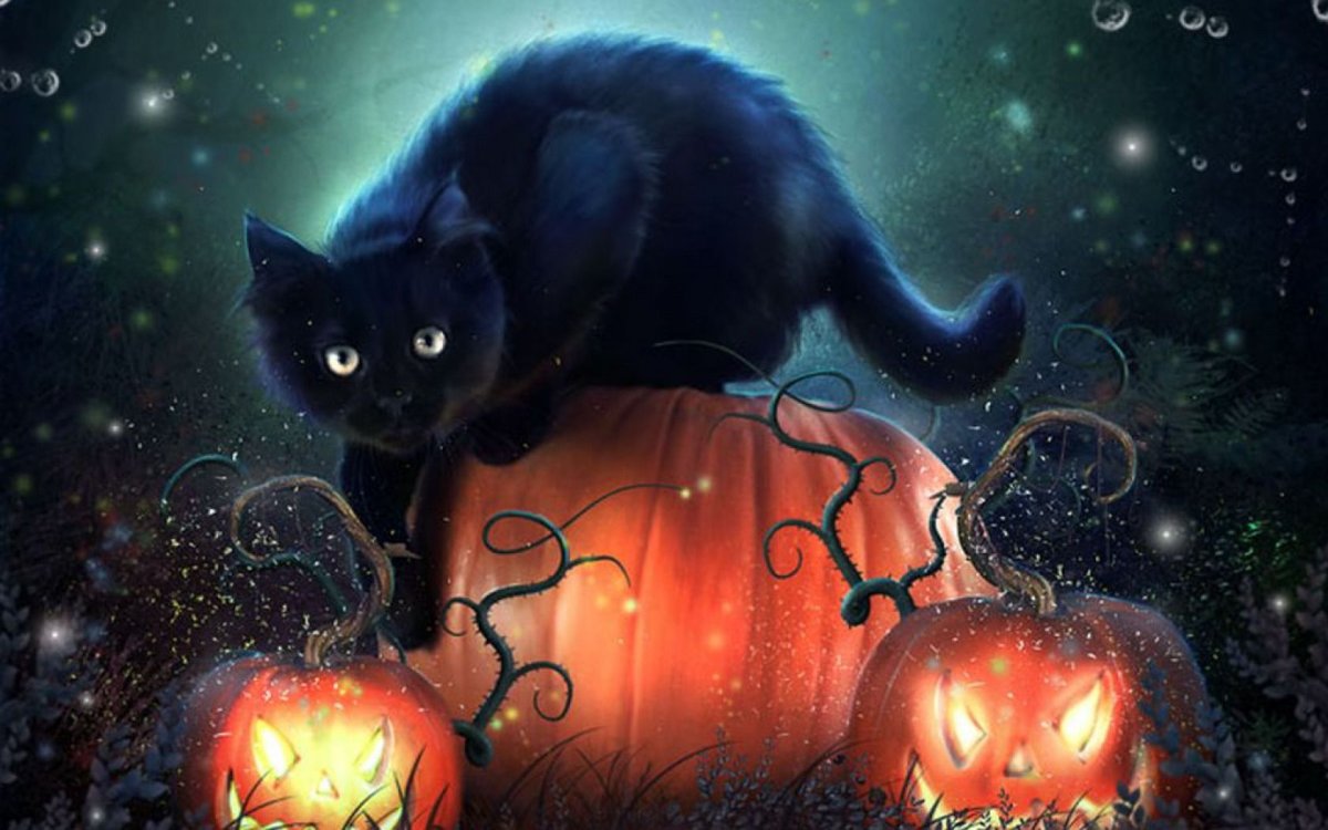 Хэллоуинская кошка