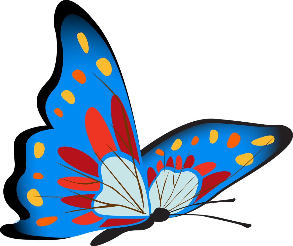 Разноцветные бабочки картинки