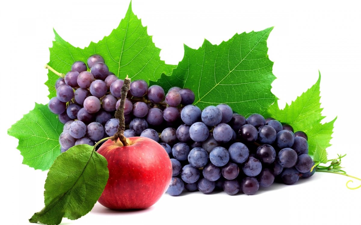 Картинка гроздь винограда