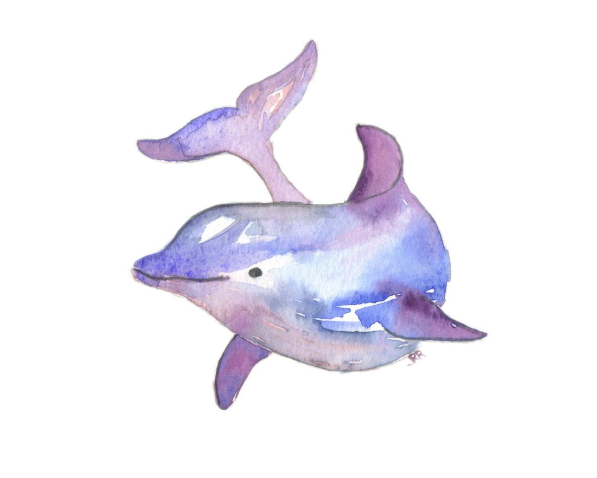 Дельфин картинка