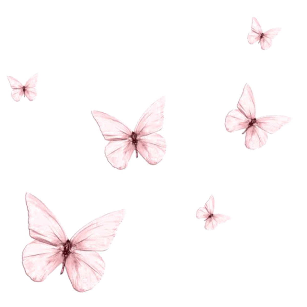 Розовые бабочки. Бабочки на белом фоне. Розовые бабочки на белом фоне. Бабочки пастельных тонов на белом фоне.