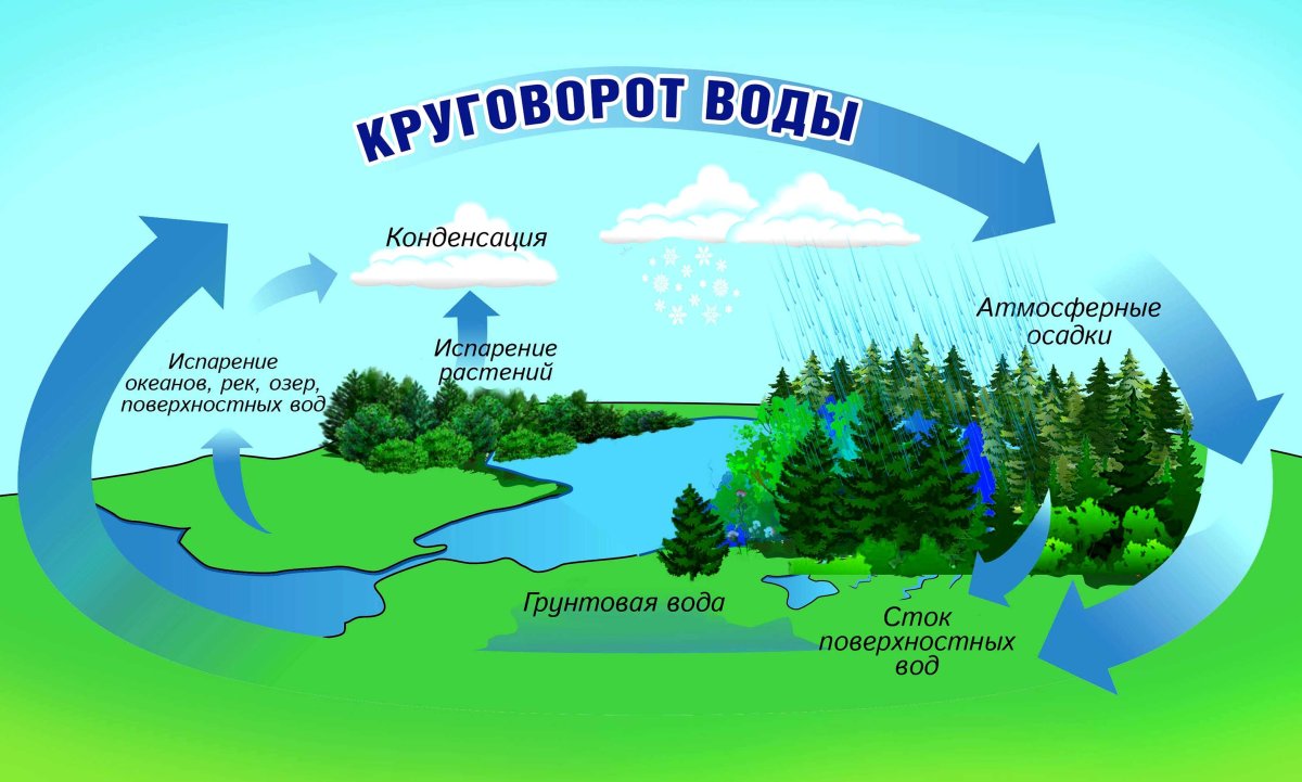 Круговорот воды в природе картинки - 66 фото