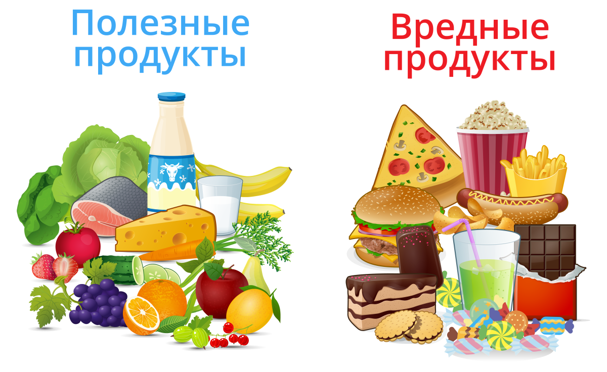 Раскраски еды и продуктов для детей распечатать | ColoRate