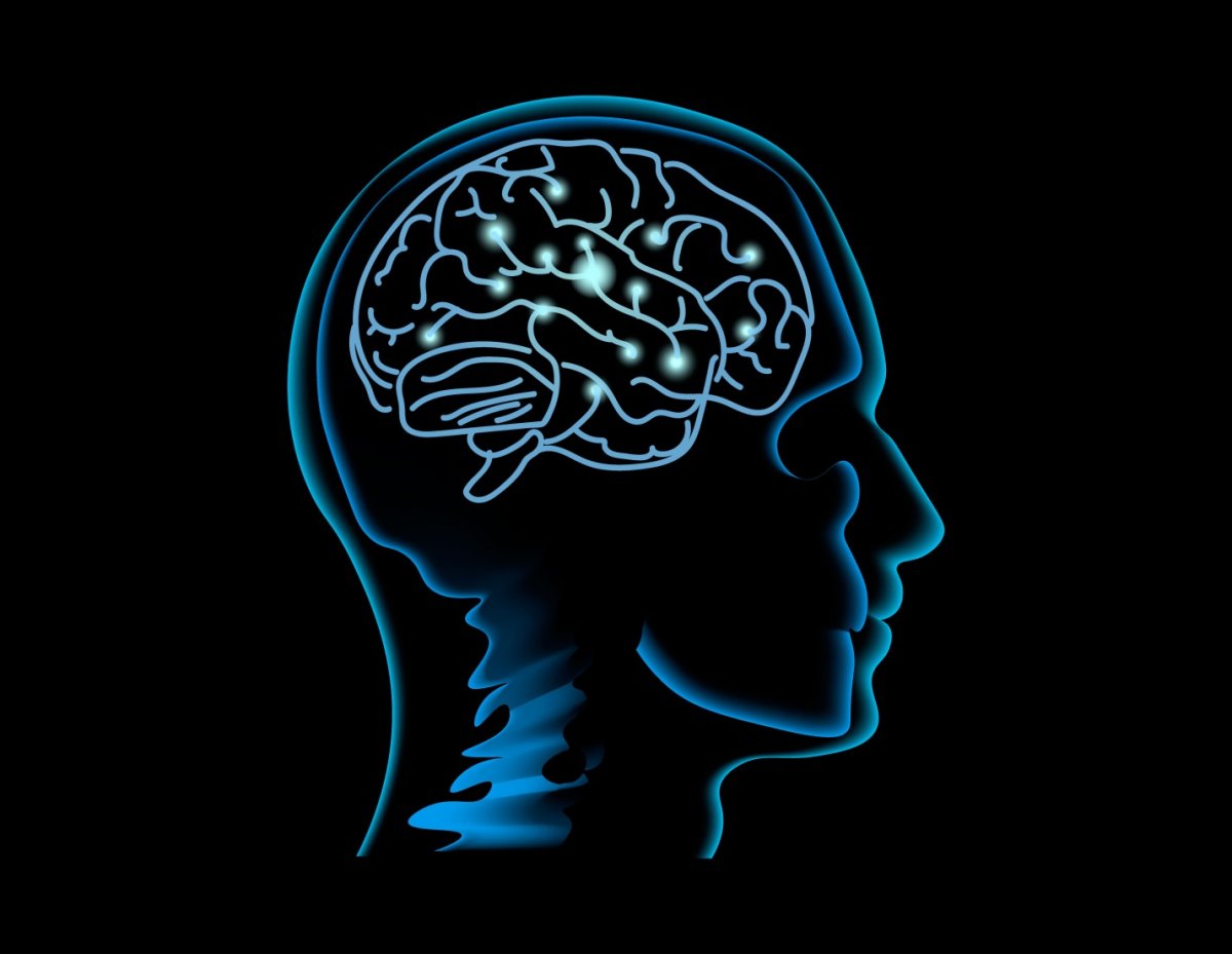 Brain 70. Мозг вектор. Мозг в голове. Мозг мышление. Синяя голова с мозгом.