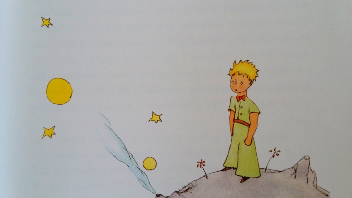 Картинки из книги маленький принц