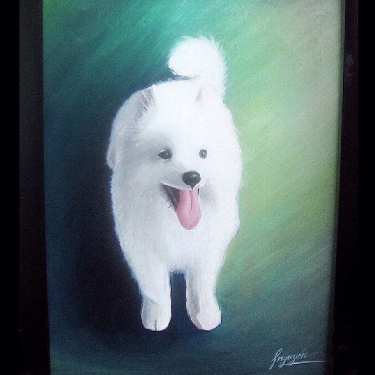 Самоед собака рисунок