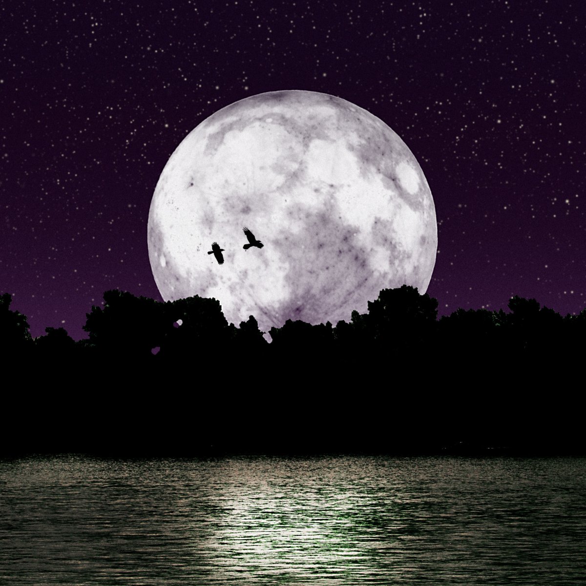Сон луна большая. Огромная Луна. Красивая Луна. Ночь большая Луна. Ночное небо большая Луна.