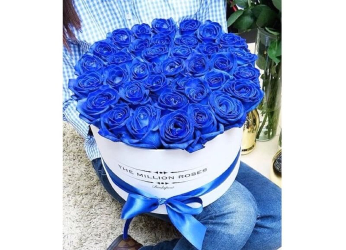 Голубые розы картинки