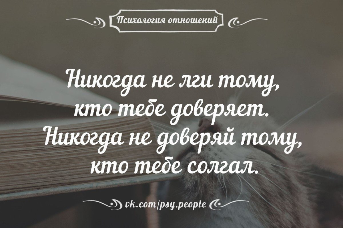 Картинки, Ложь: подборки картинок, поздравительные картинки, смешные картинки — Все посты | Пикабу