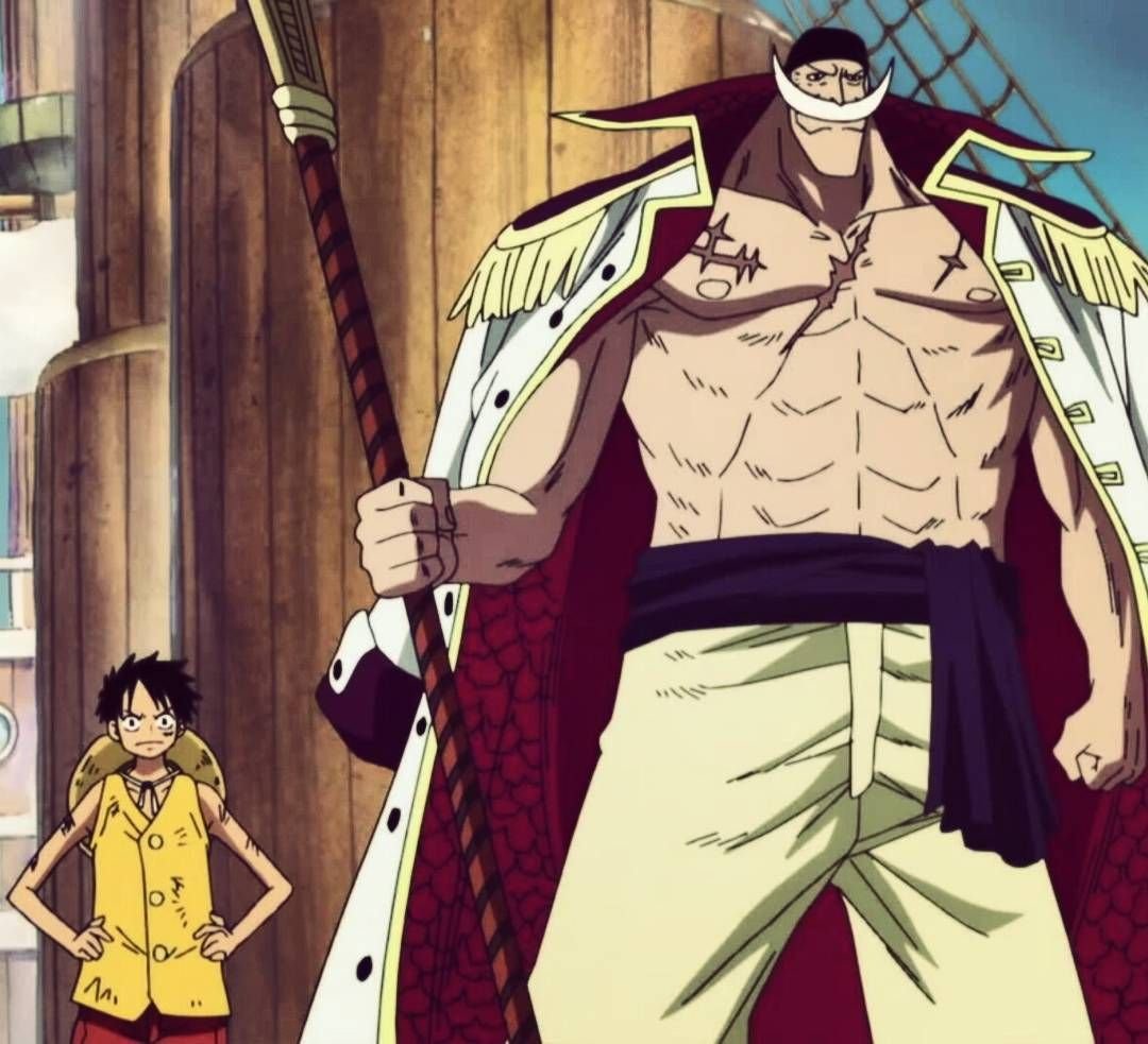 Whitebeard aut